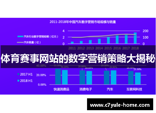 体育赛事网站的数字营销策略大揭秘